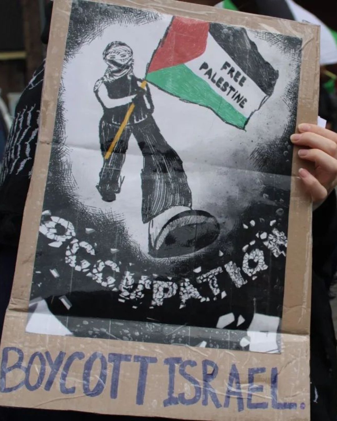 Pro Palestine Protests Netherlands