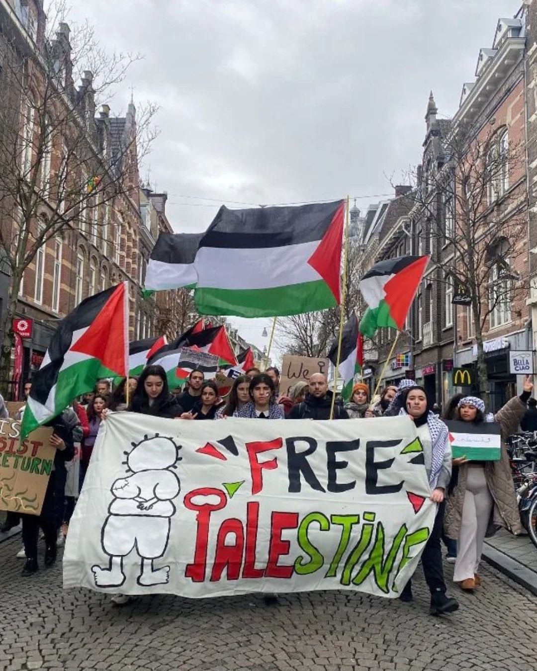 Pro Palestine Protests Netherlands 