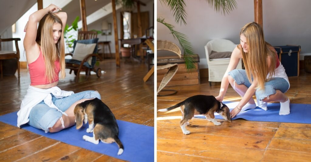 Outgoing Agriculture Minister Piet Adema Calls for Ban on Puppy Yoga