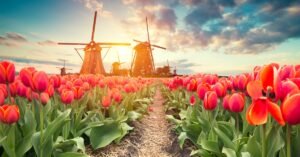 When Does Summer Start in the Netherlands Dates, Tips And Fun